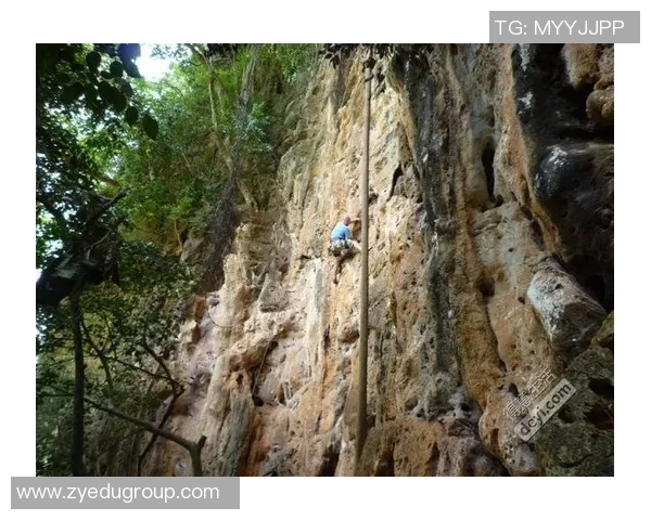 武汉攀岩队个人能力分析与表现评估的综合研究报告 武汉攀岩队个人能力分析与表现评估的综合研究报告