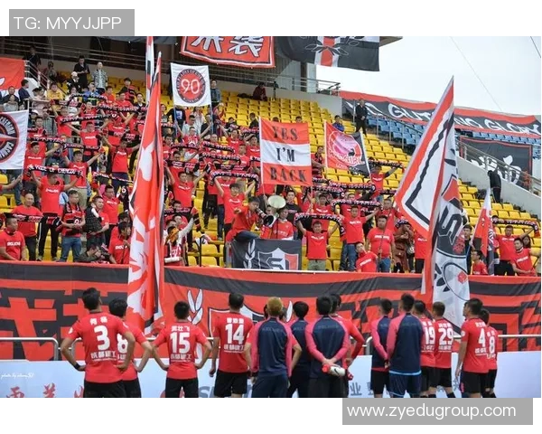 成都乒乓球队力量争议引发热议球迷与专家各执己见探讨背后真相